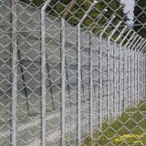 La Suisse reproche aux experts onusiens d'avoir établi leurs conclusions seulement sur quelques cas liés au racisme chez elle.